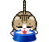 cat 12